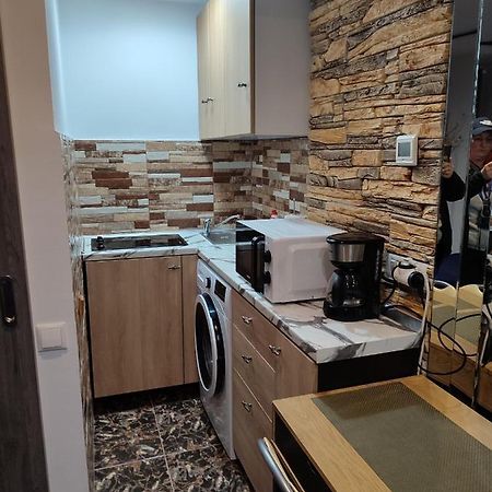 Garsoniera Alex Apartment Cluj-Napoca Luaran gambar