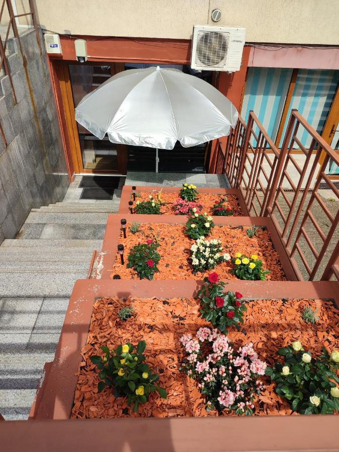 Garsoniera Alex Apartment Cluj-Napoca Luaran gambar