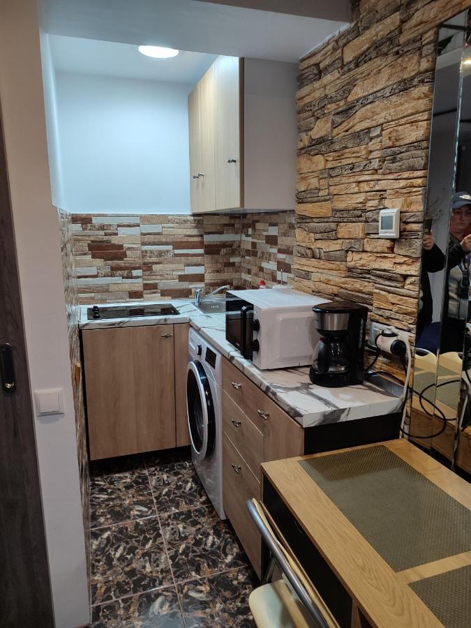 Garsoniera Alex Apartment Cluj-Napoca Luaran gambar