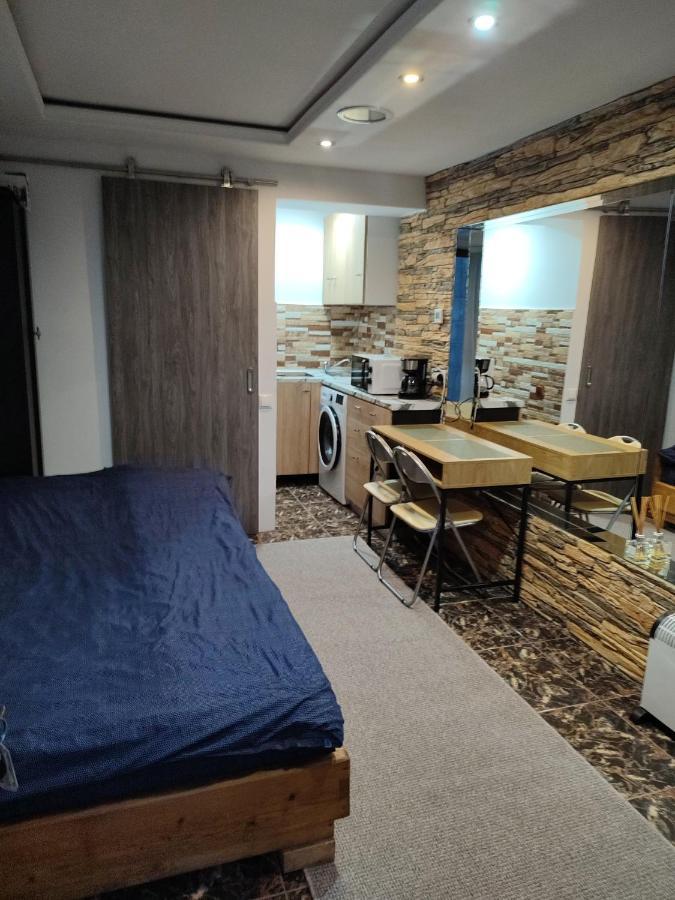Garsoniera Alex Apartment Cluj-Napoca Luaran gambar